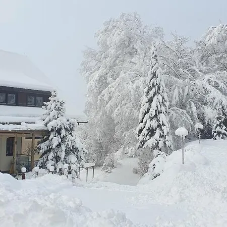 Jaegerhotel 3* Анненхайм