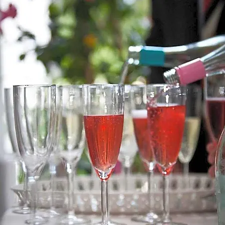 Jaegerhotel 3*